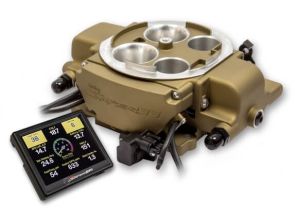 Holley 550-869 Ruiskusarja